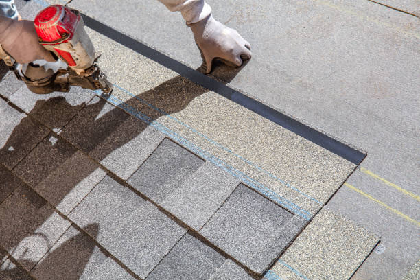 Best Metal Roofing Contractor  in Belville, NC