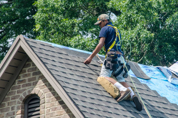 Best Roof Gutter Cleaning  in Belville, NC